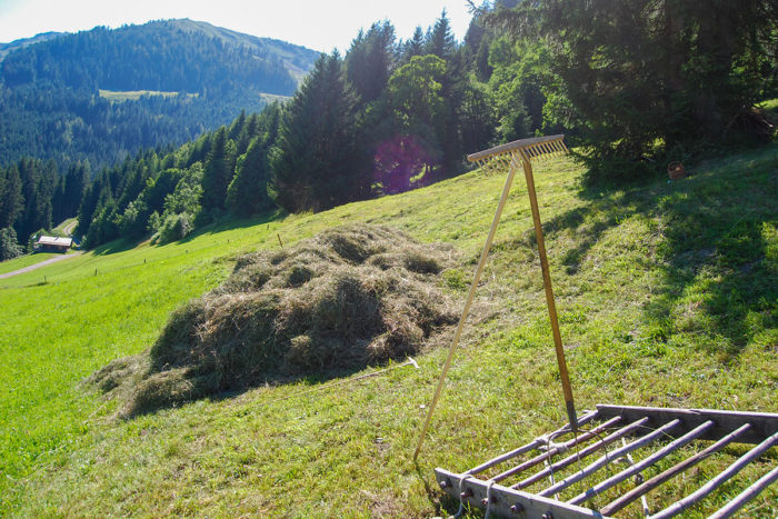 Heuernte - Bio-Bauernhof in Großarl