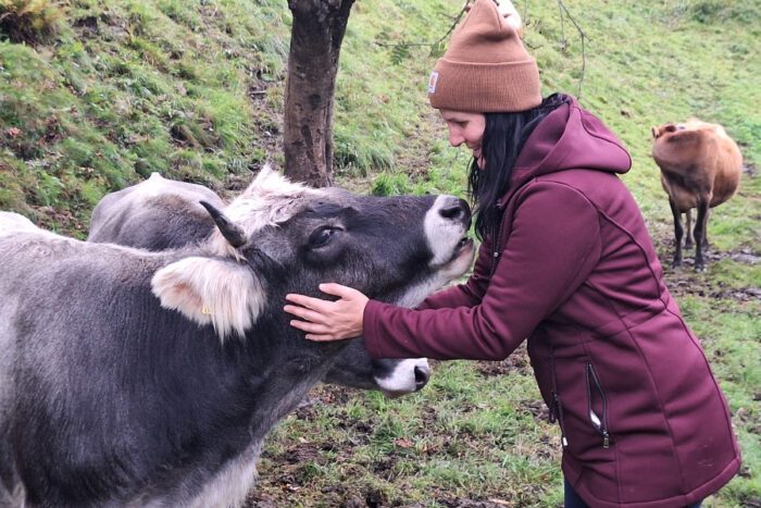 Kalb Zeder und Corinna