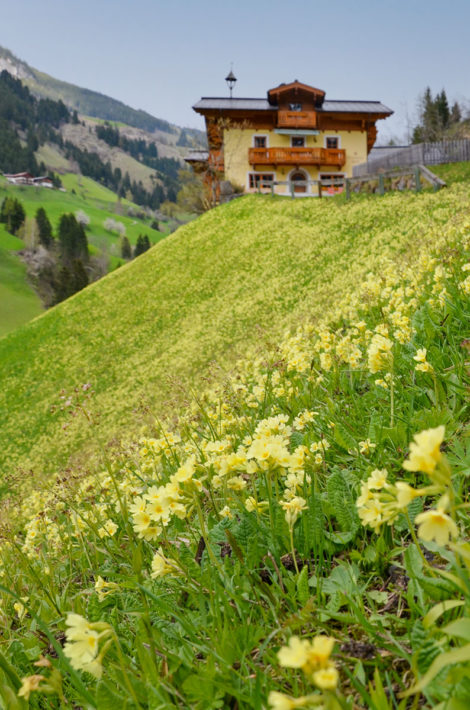 Pfandlinghof - Urlaub in Grossarl, Salzburger Land