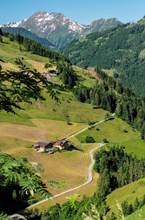 Pfandlinghof - Urlaub in Grossarl, Salzburger Land