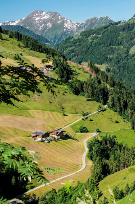 Pfandlinghof - Urlaub in Grossarl, Salzburger Land