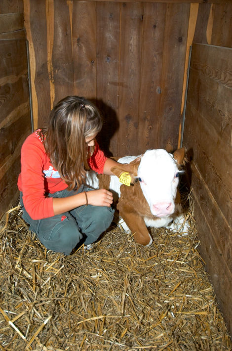 Tiere - Bio-Bauernhof Pfandlinghof in Großarl